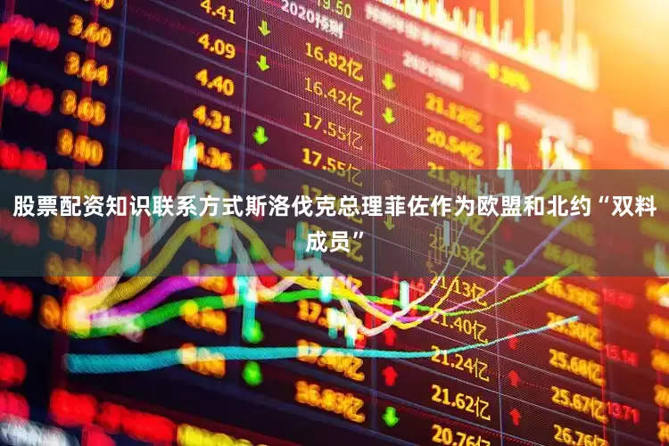 股票配资知识联系方式斯洛伐克总理菲佐作为欧盟和北约“双料成员”