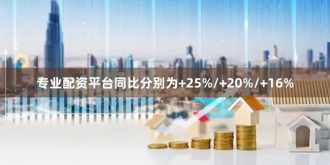 专业配资平台同比分别为+25%/+20%/+16%